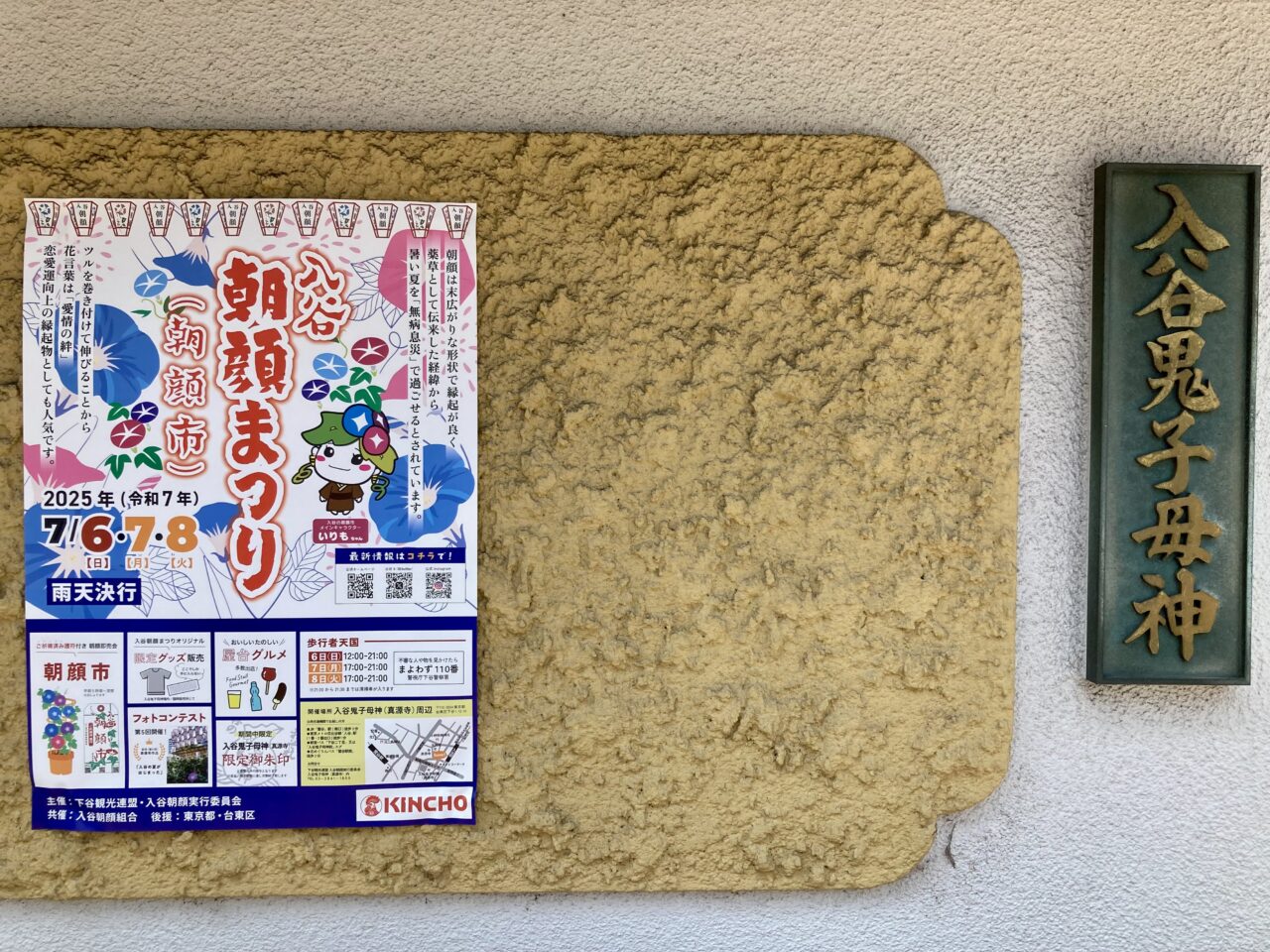 2507朝顔1
