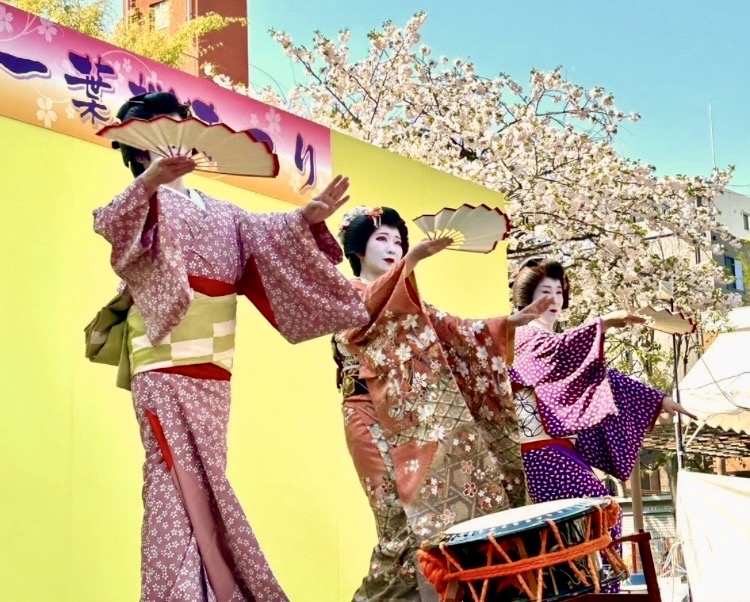 260407一葉桜まつり4