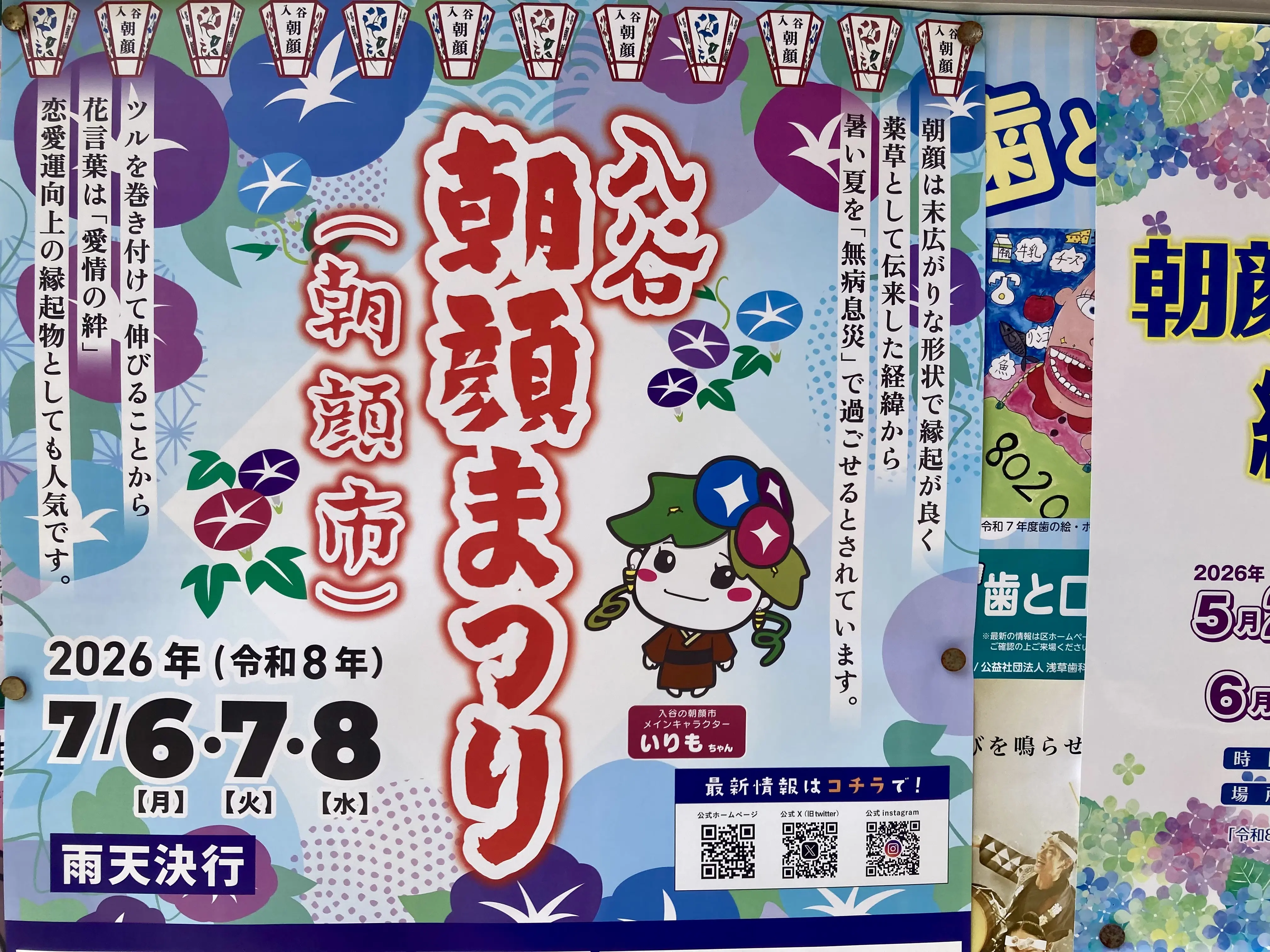 260703朝顔1