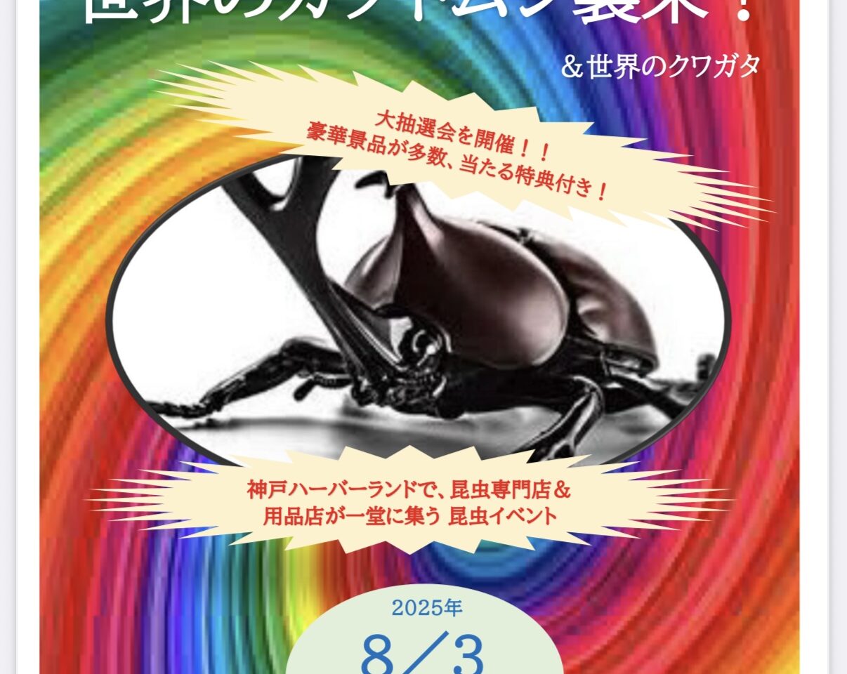 2025.8カブトムシ襲来