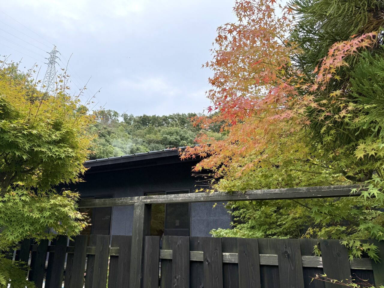 2025.11すずらんの湯紅葉2