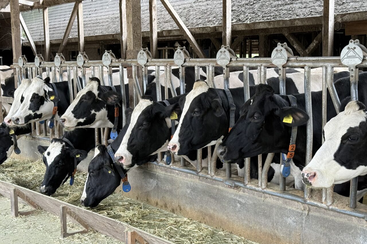 2025.11弓削牧場10