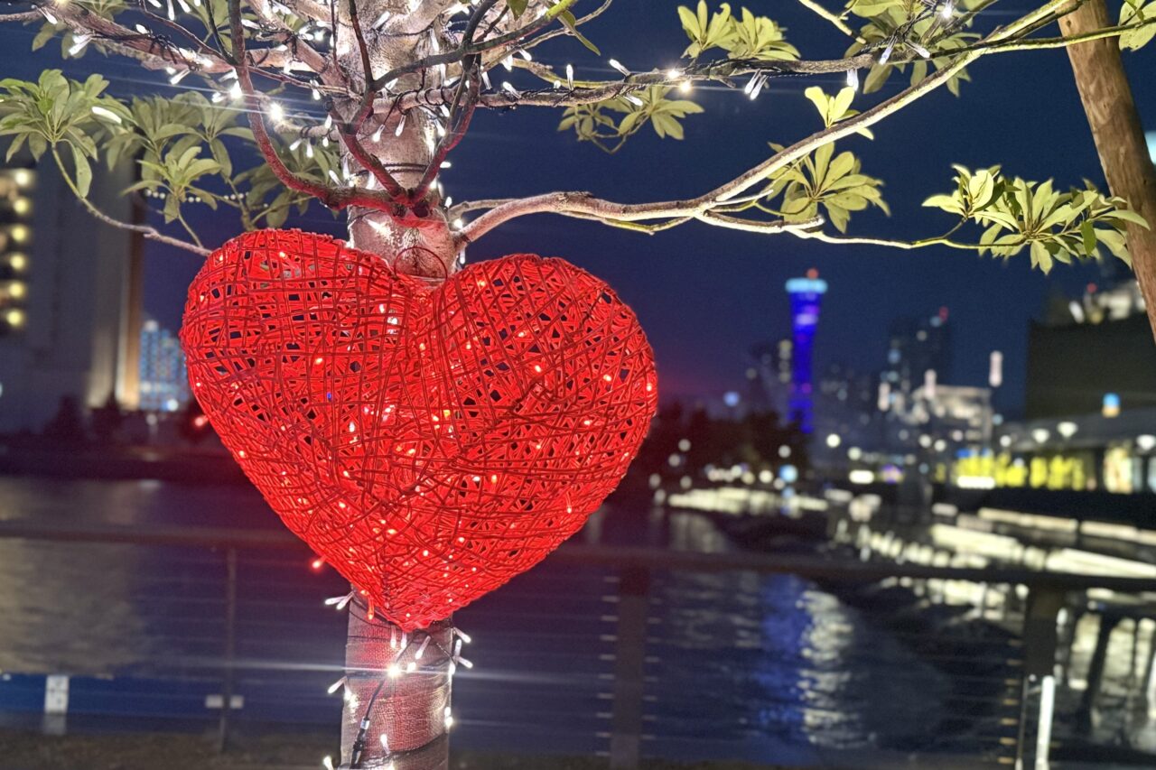 2025.12TOTTEIクリスマスマーケット5