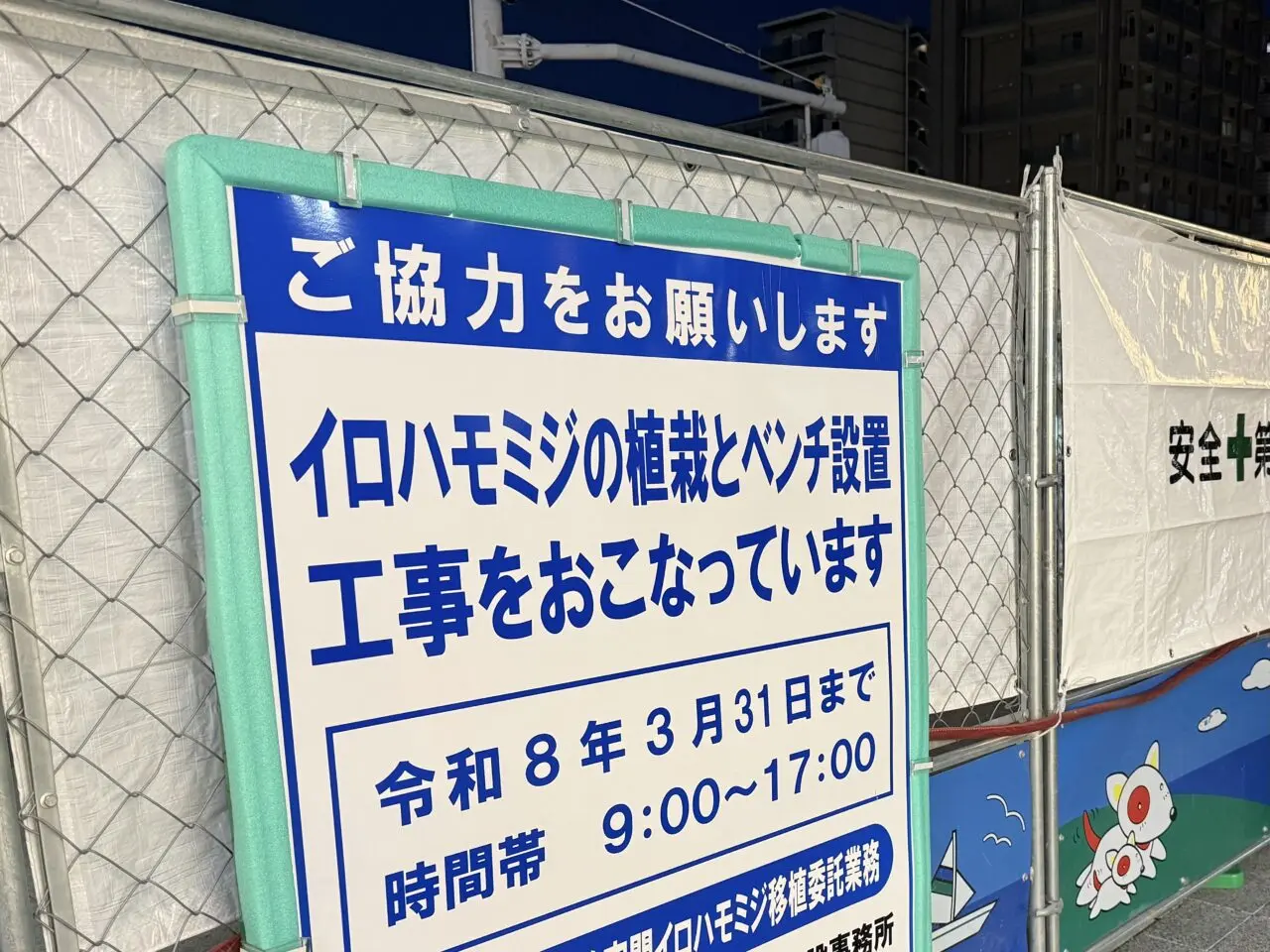 2026.3イロハモミジ長田1