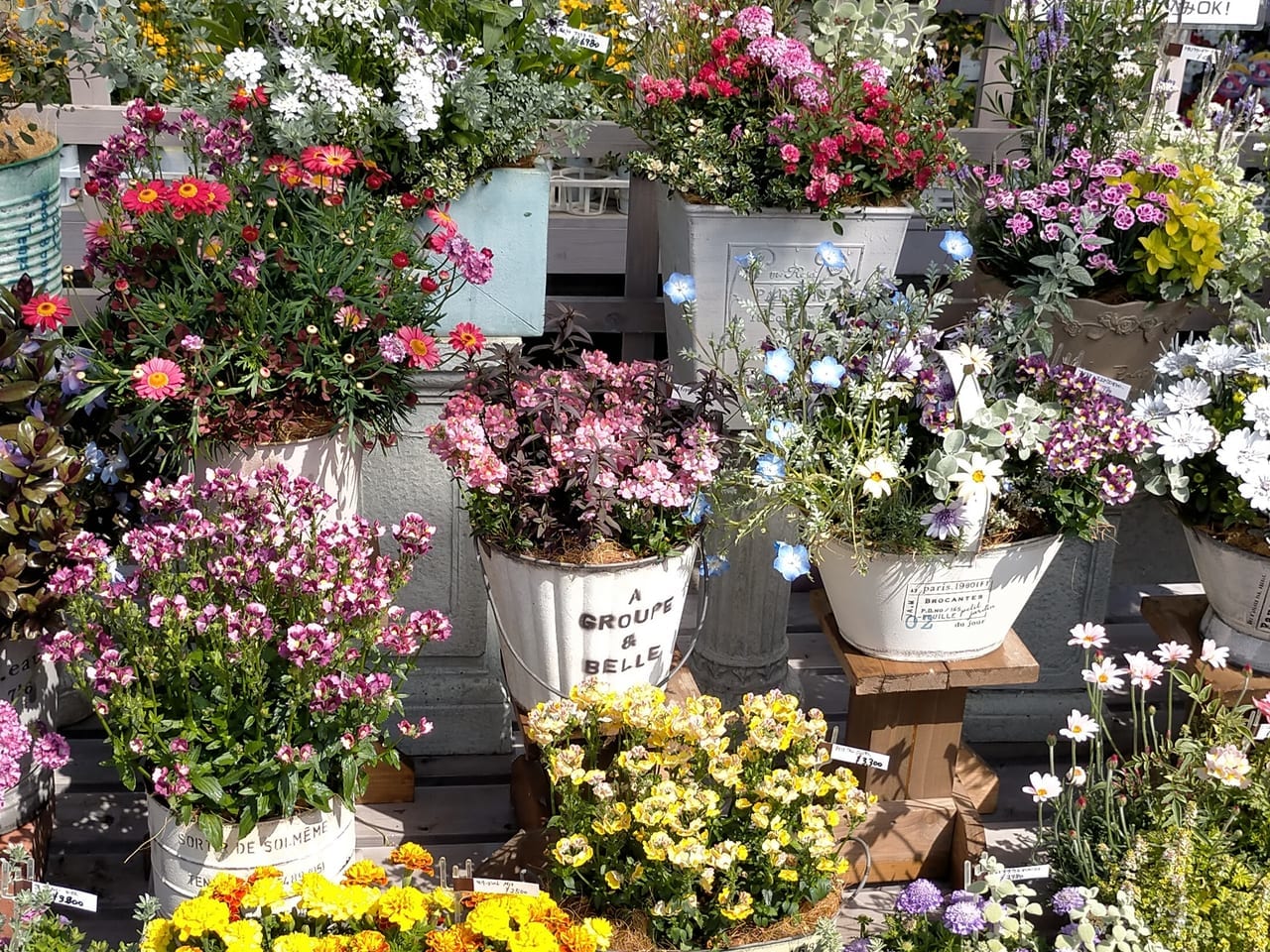 春の花たち
