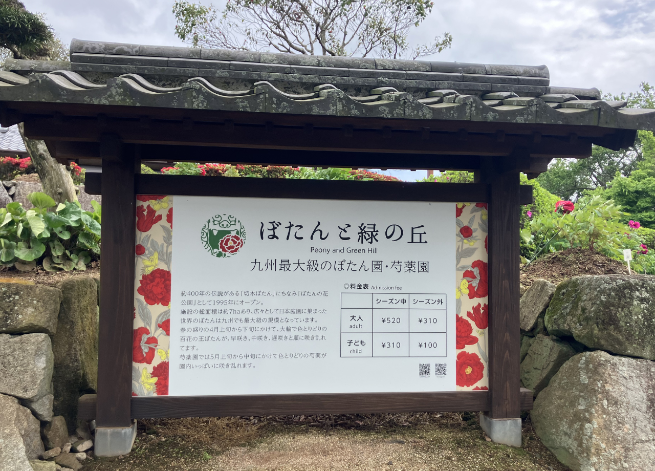 ぼたんと緑の丘