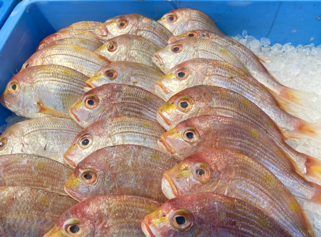 魚市場