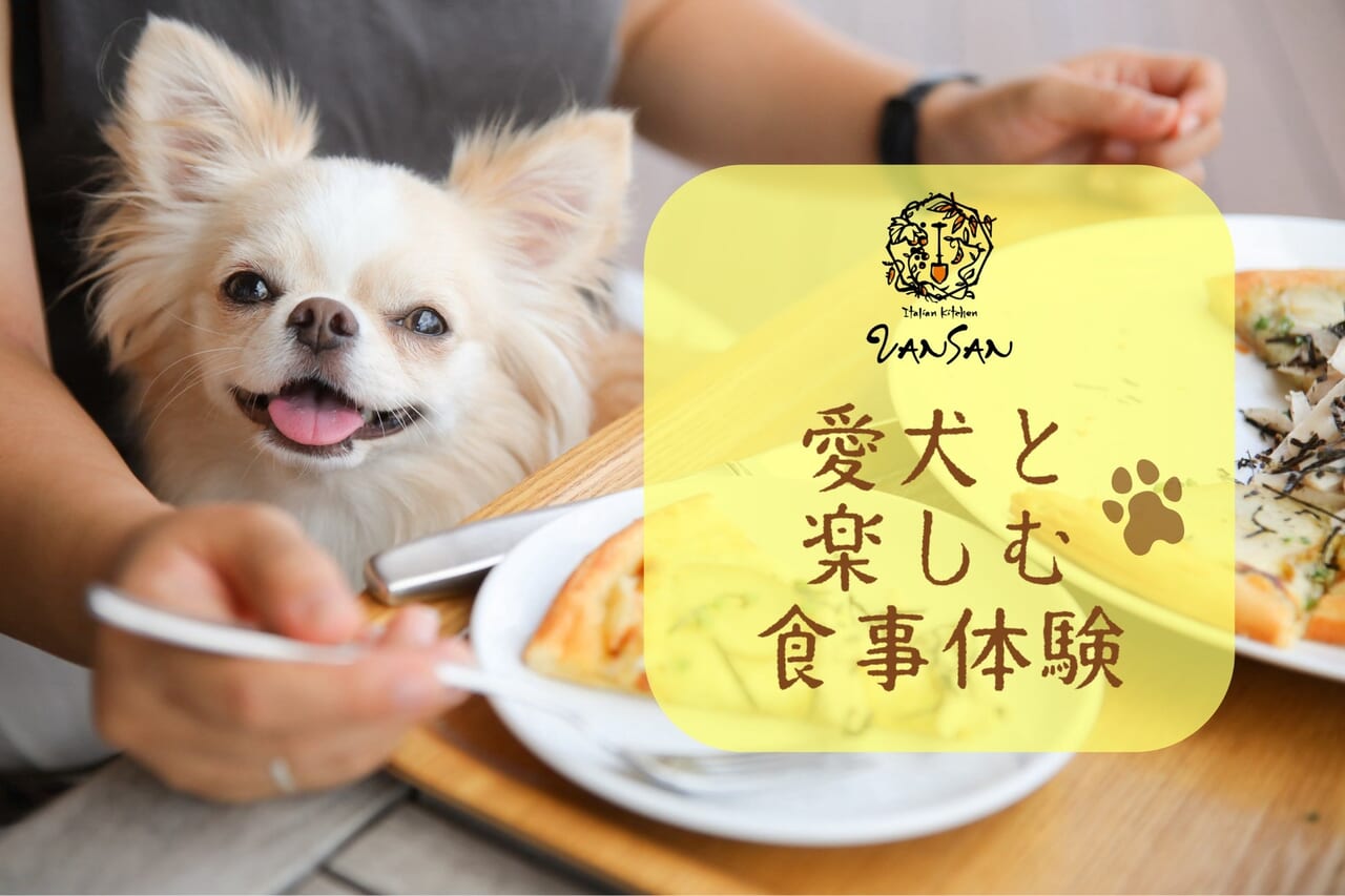 人気 茨木市 ランチ ペット