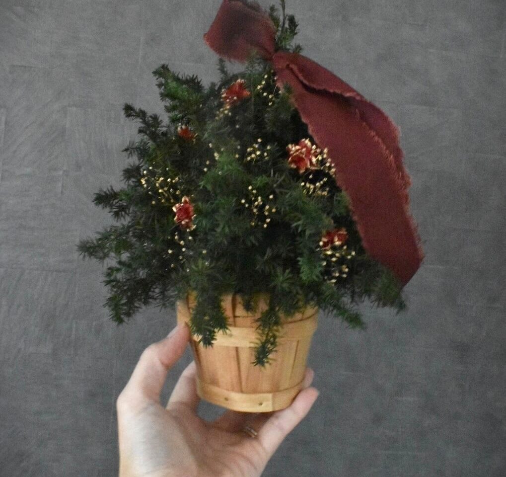 ミニクリスマスツリー