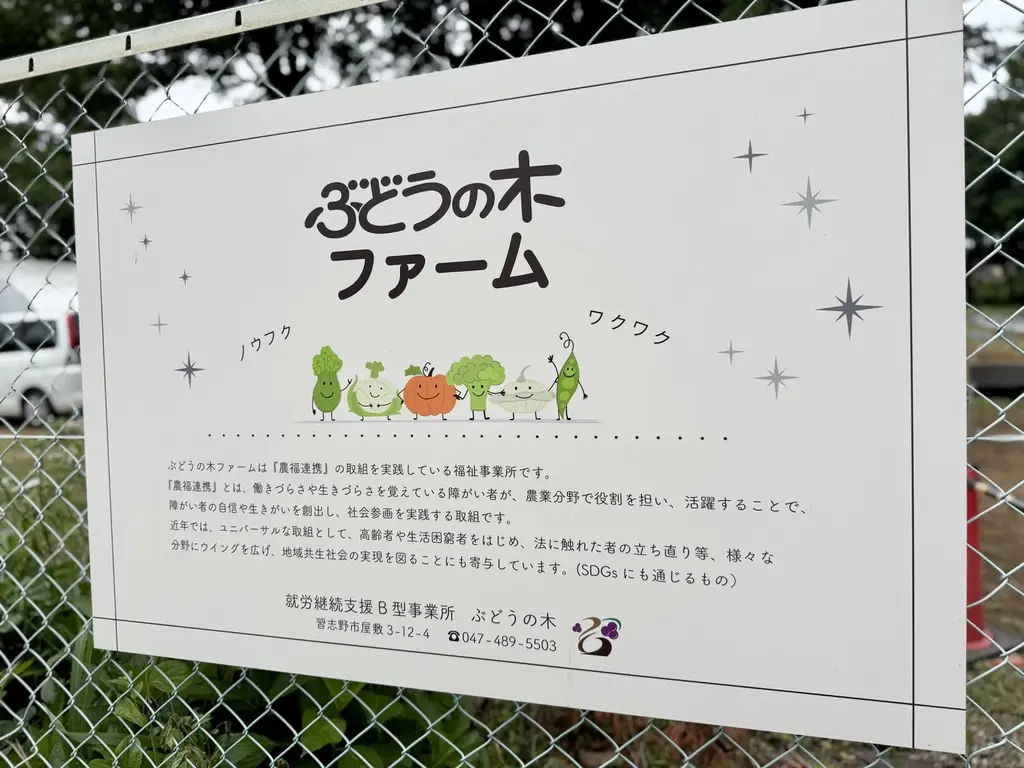ぶどうの木