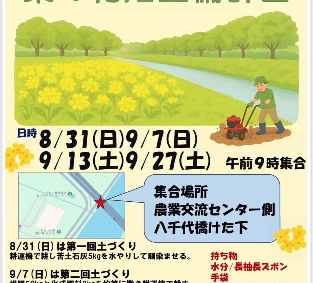 新川千本桜の会菜の花整備計画