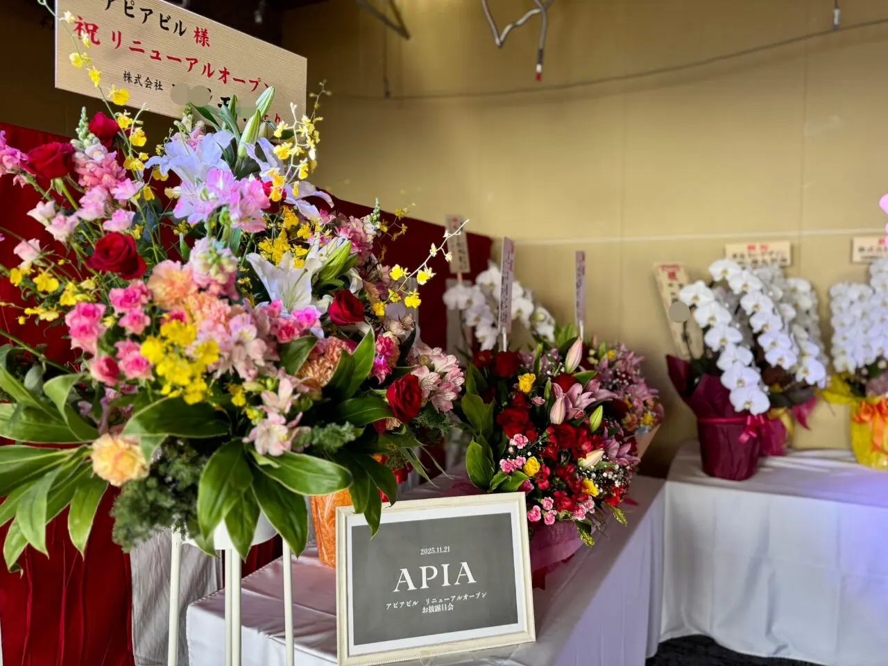 「APIA」リニューアル