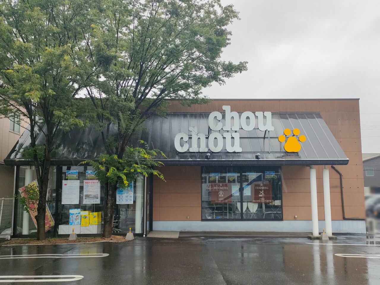 chouchou