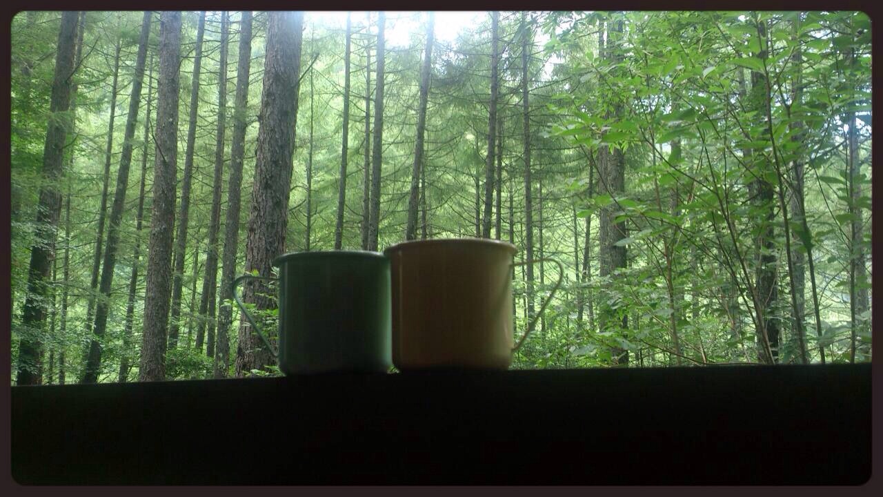 山の中でいただくコーヒーのイメージ