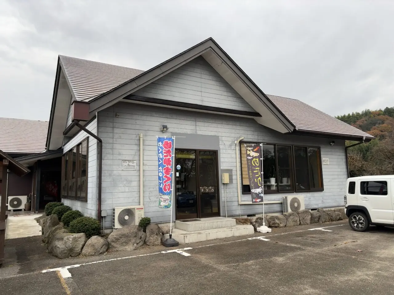 みつわメダカ01