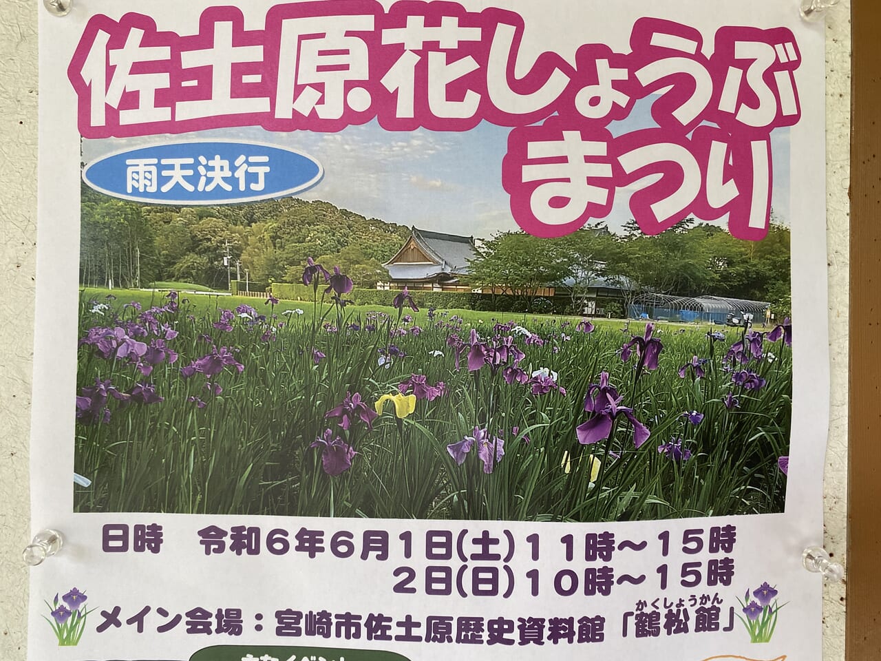 宮崎市イベント 佐土原町 宮崎市佐土原歴史資料館 佐土原花しょうぶまつり 画像9