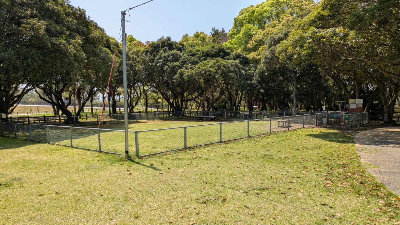 阿波岐原森林公園