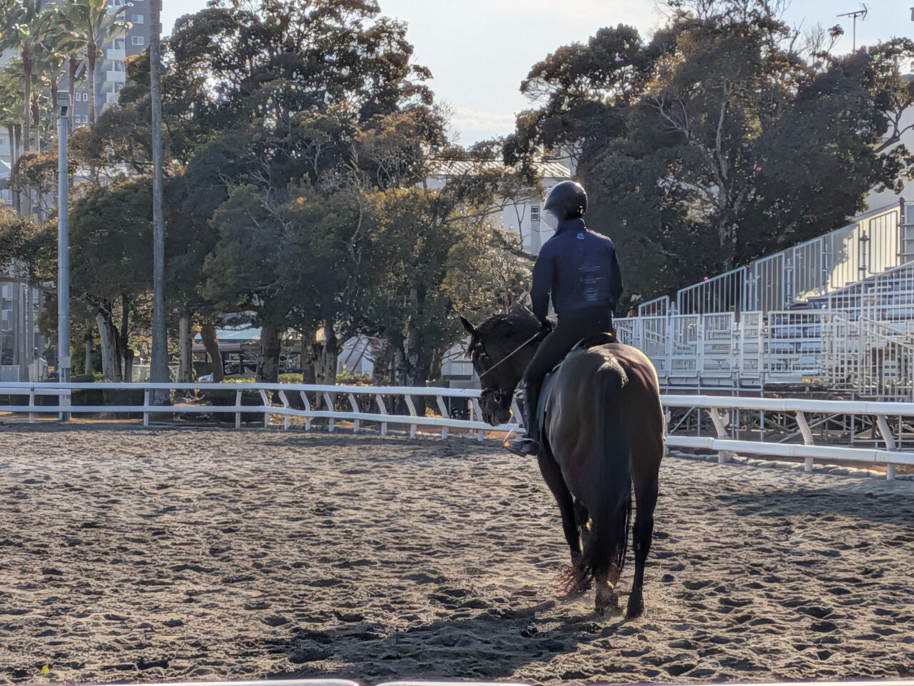 2026年JRA宮崎育成牧場角馬場