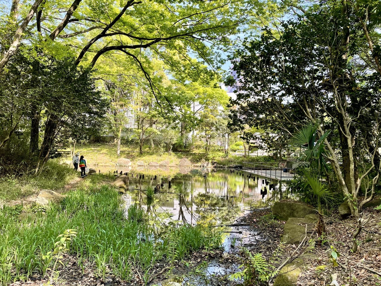 むじなが池公園