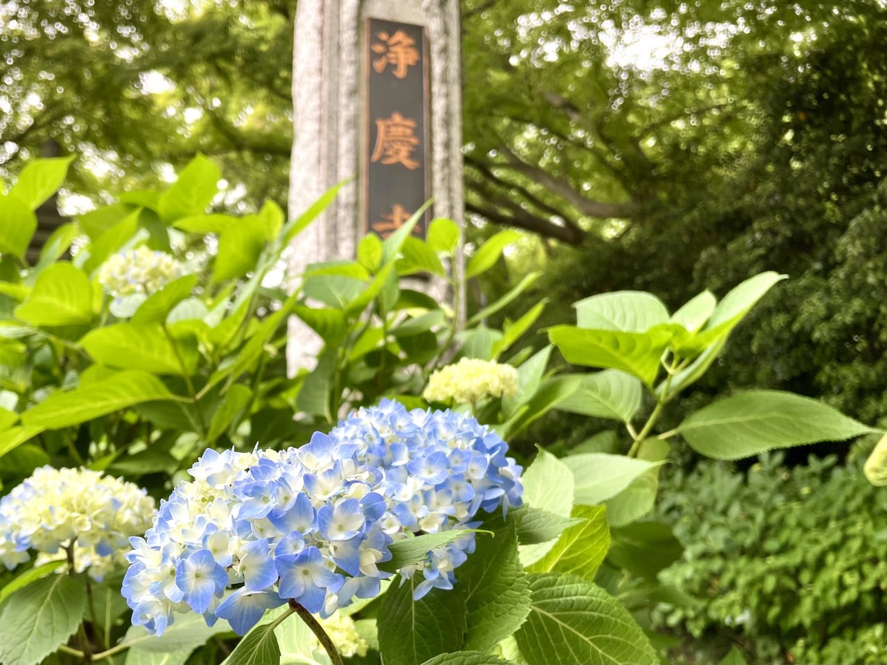 浄慶寺