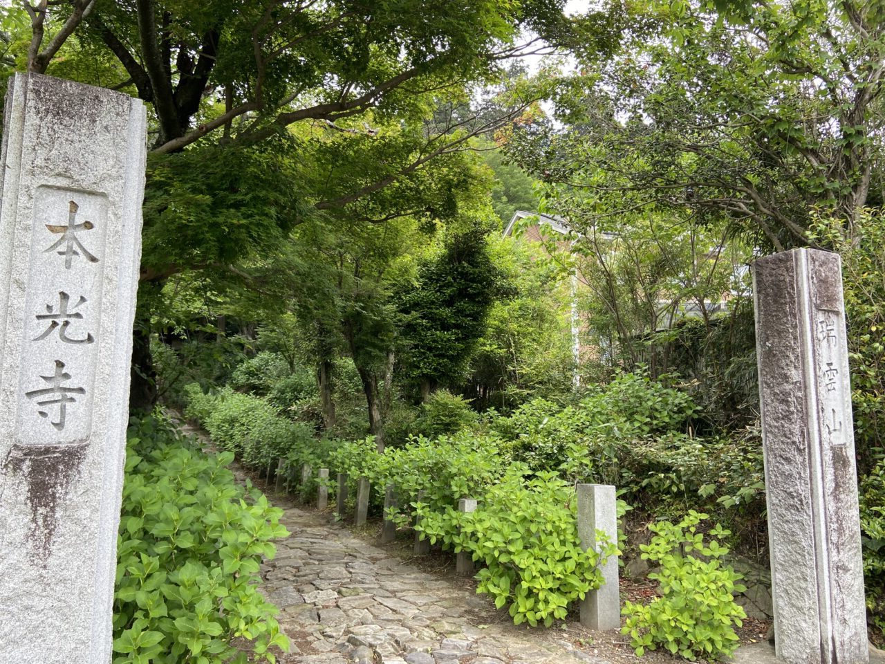 本光寺紫陽花まつり