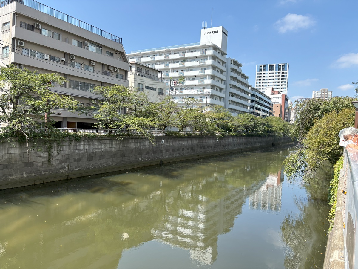 夏でも水がきれいに保たれている目黒川