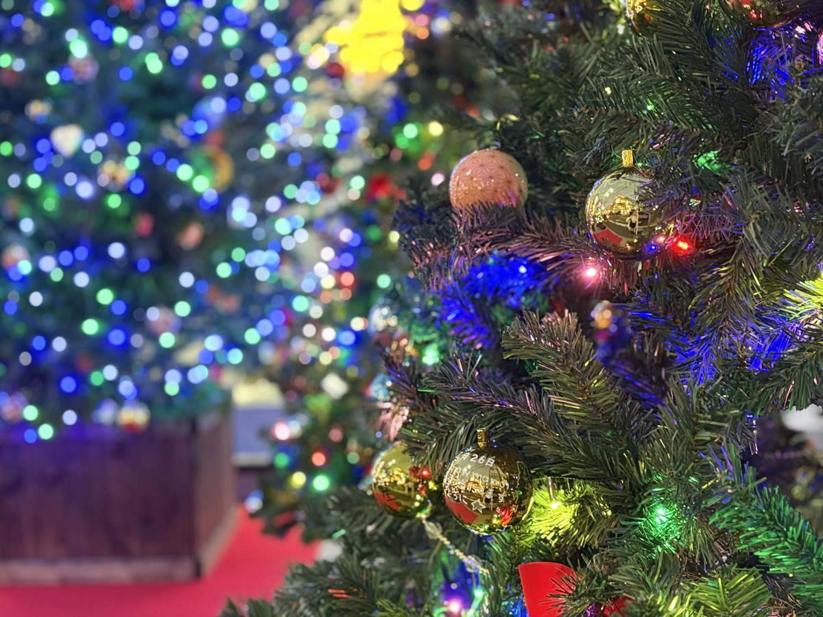 サンクスリバティ2025　11月30日に点灯式