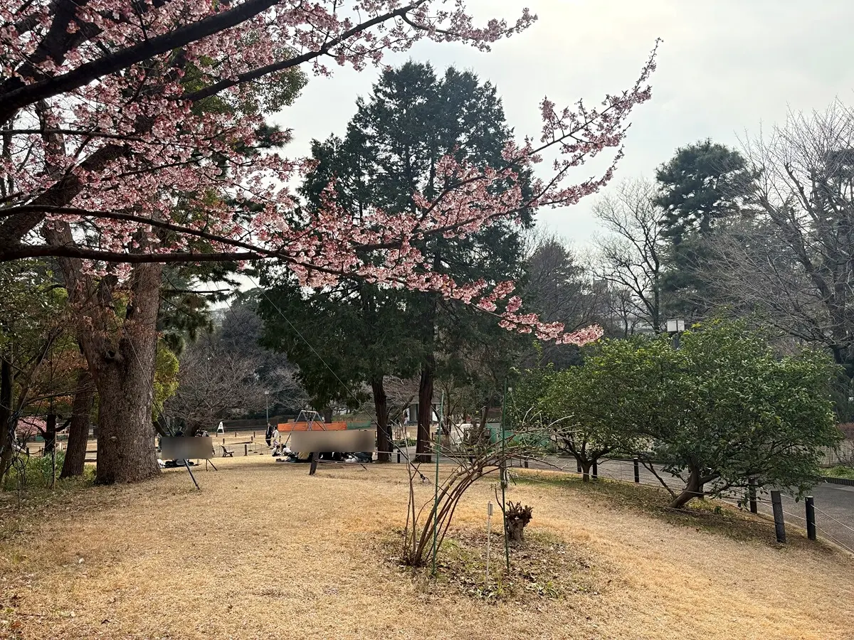 菅刈公園