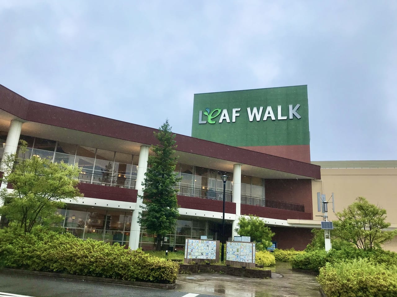 リーフ