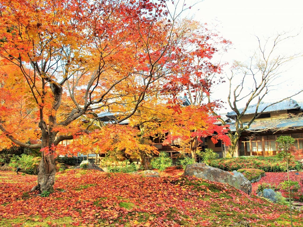 宝厳院