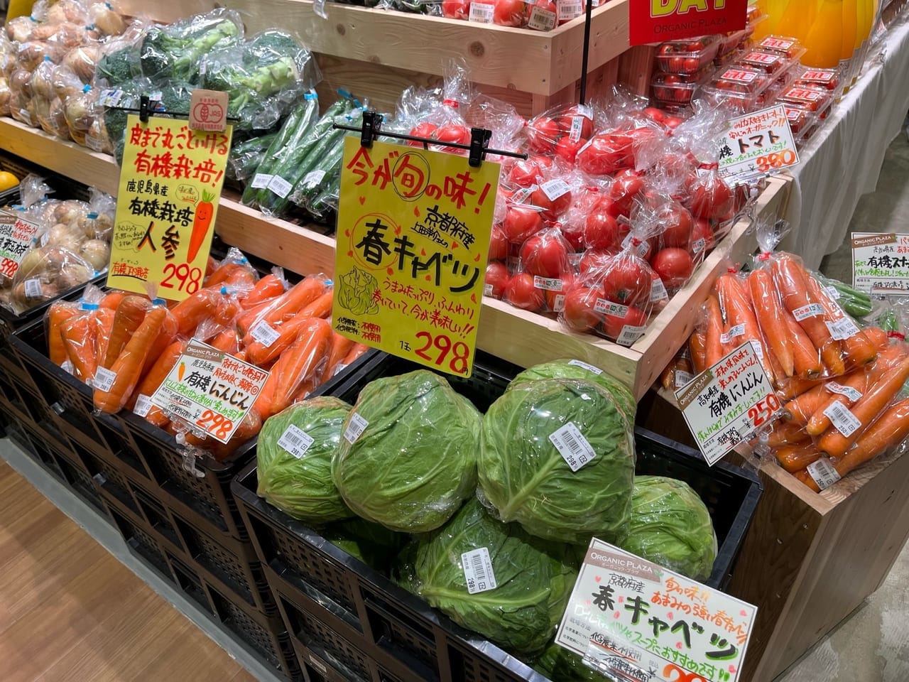 有機野菜オーガニック