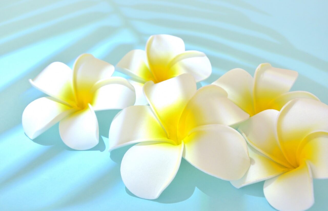 ハワイ　イメージ