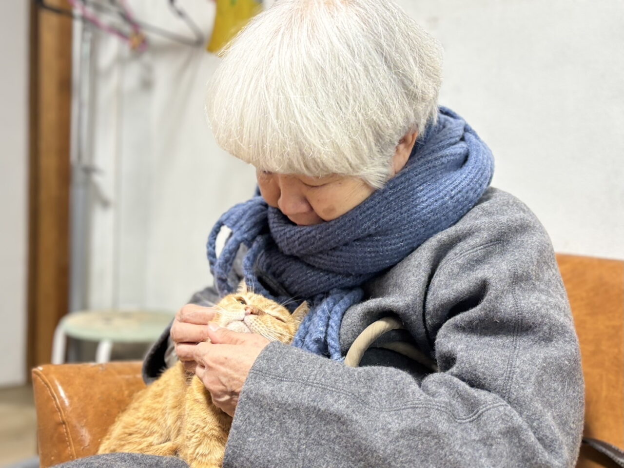 高齢者とペット
