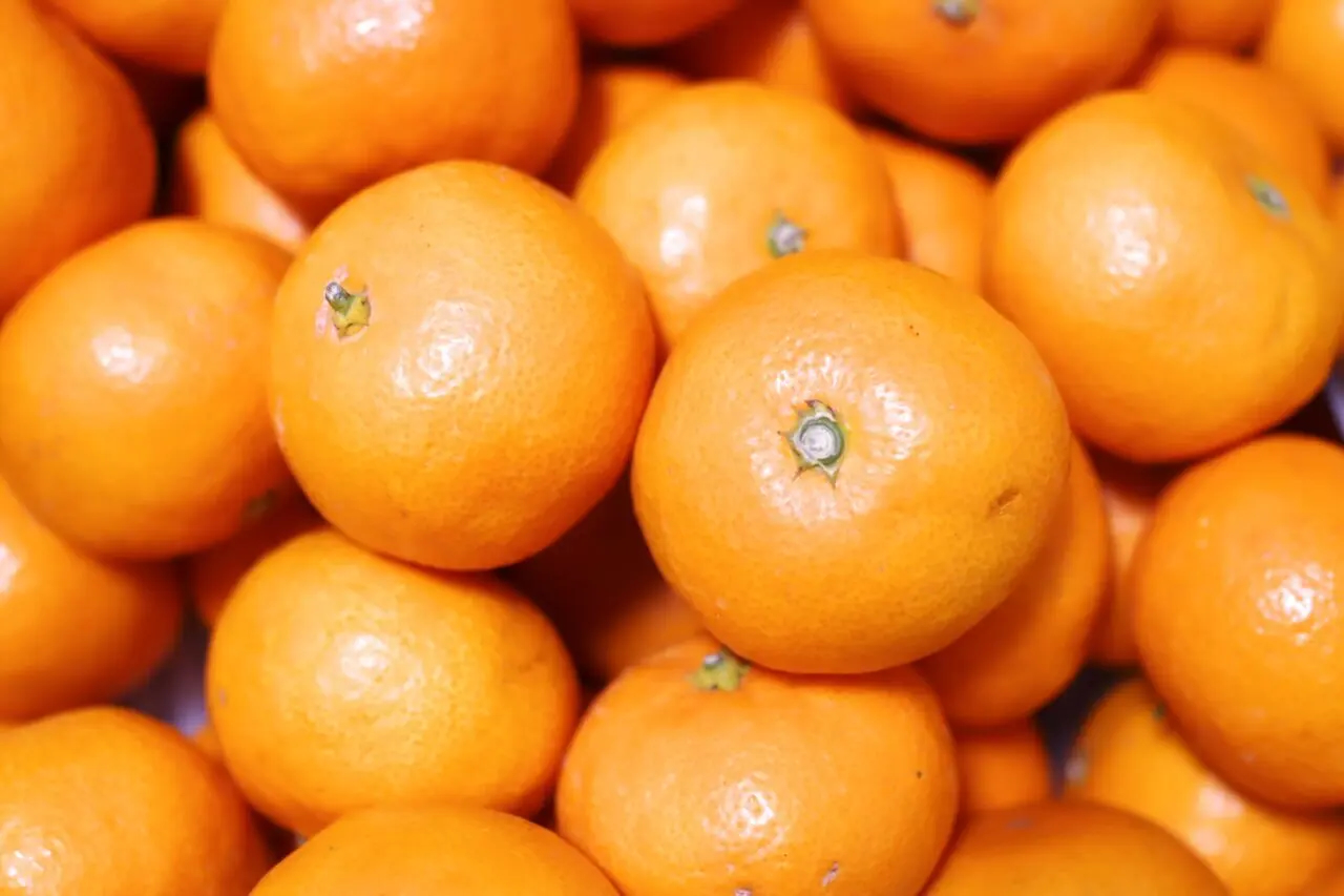 愛媛みかん　イメージ２