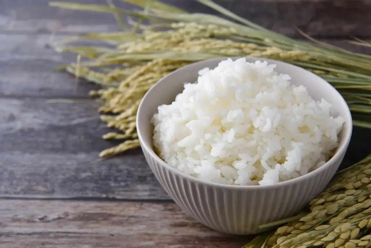 お米イメージ