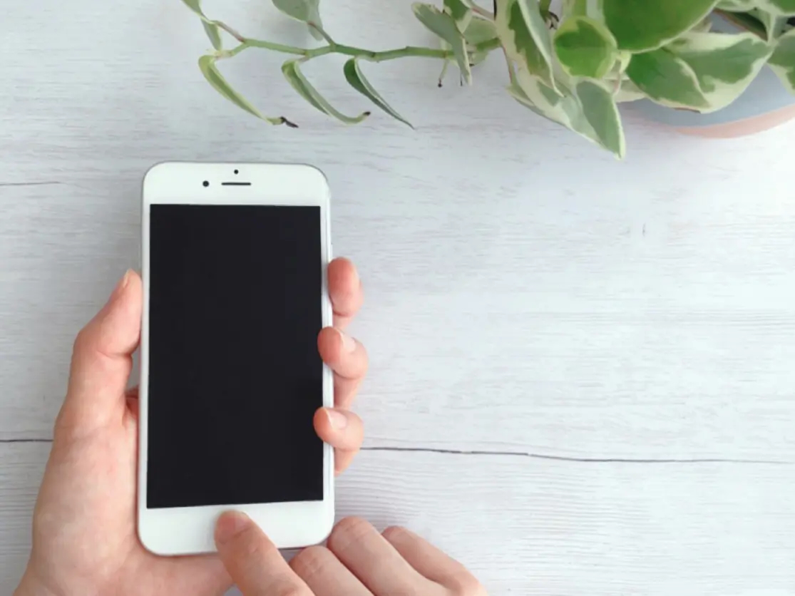 スマホダウンロード　イメージ２