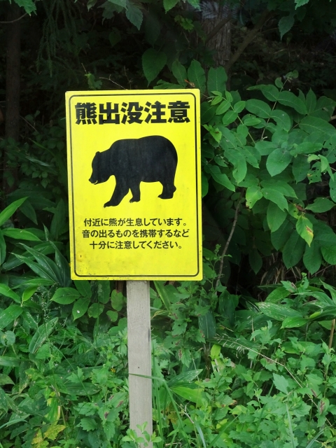 クマ目撃注意