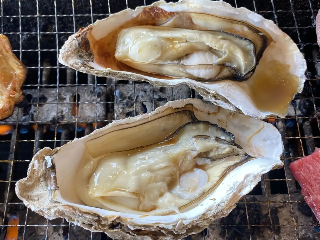 oyster