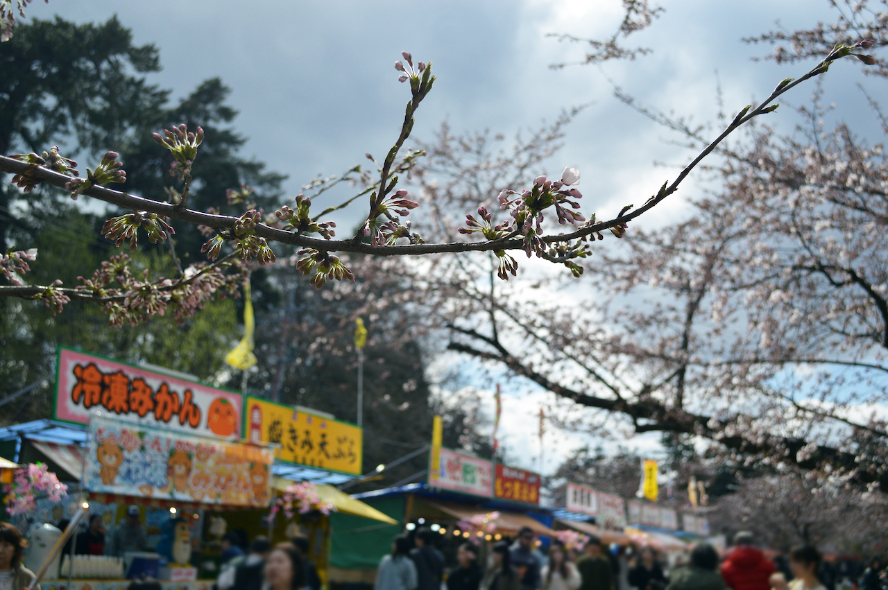 さくらまつり2026