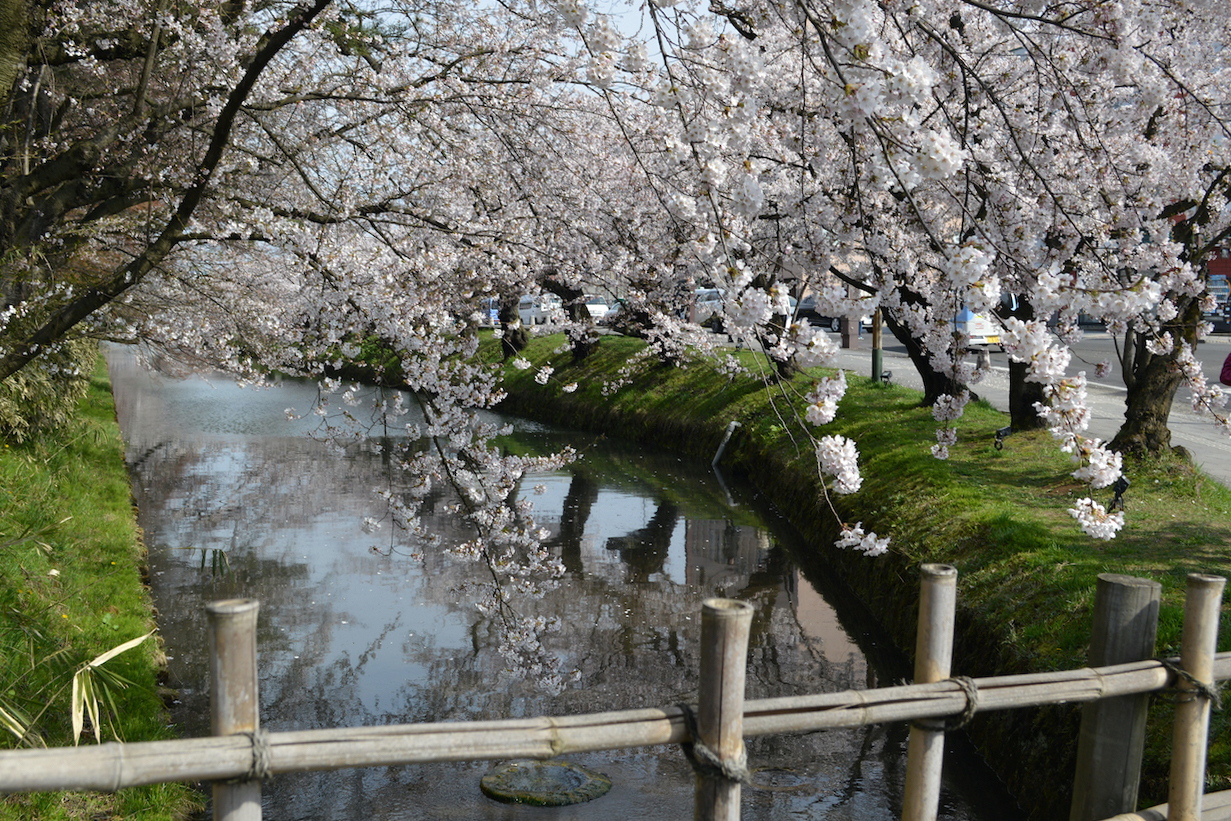 弘前さくらまつり2026