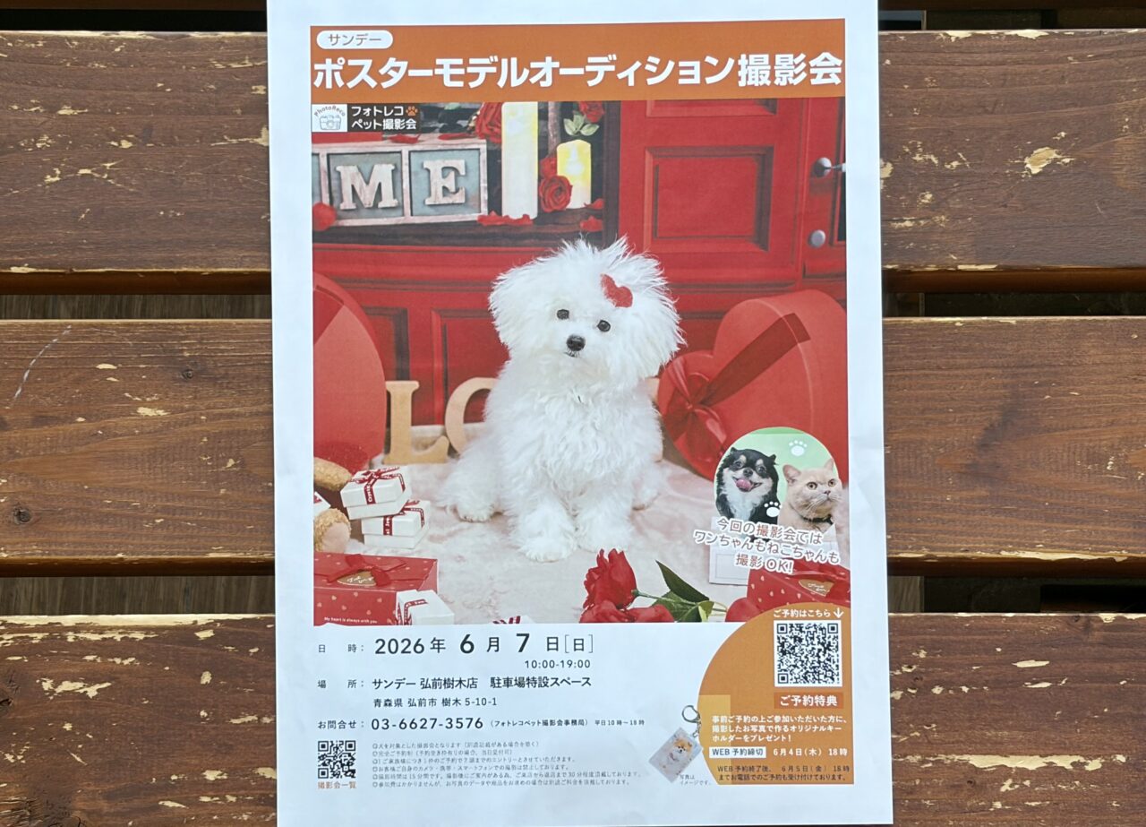 サンデー撮影会