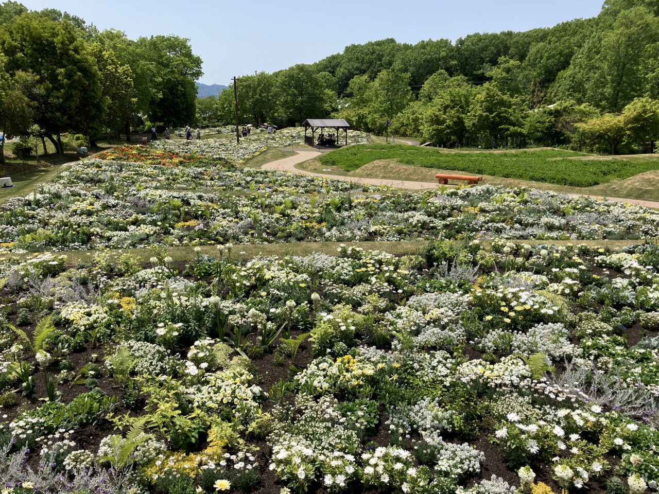 ぎふ清流里山公園