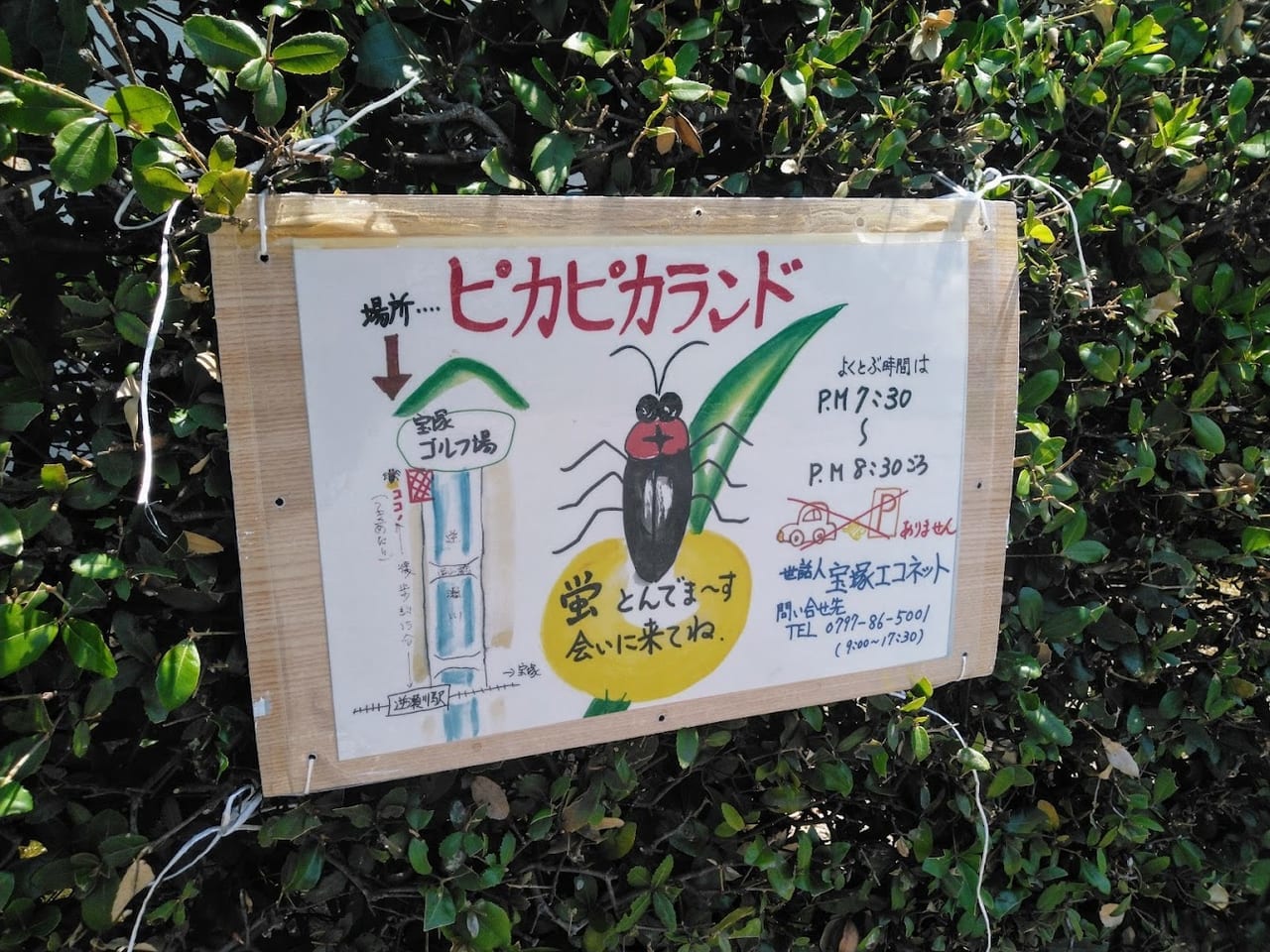 ピカピカランド