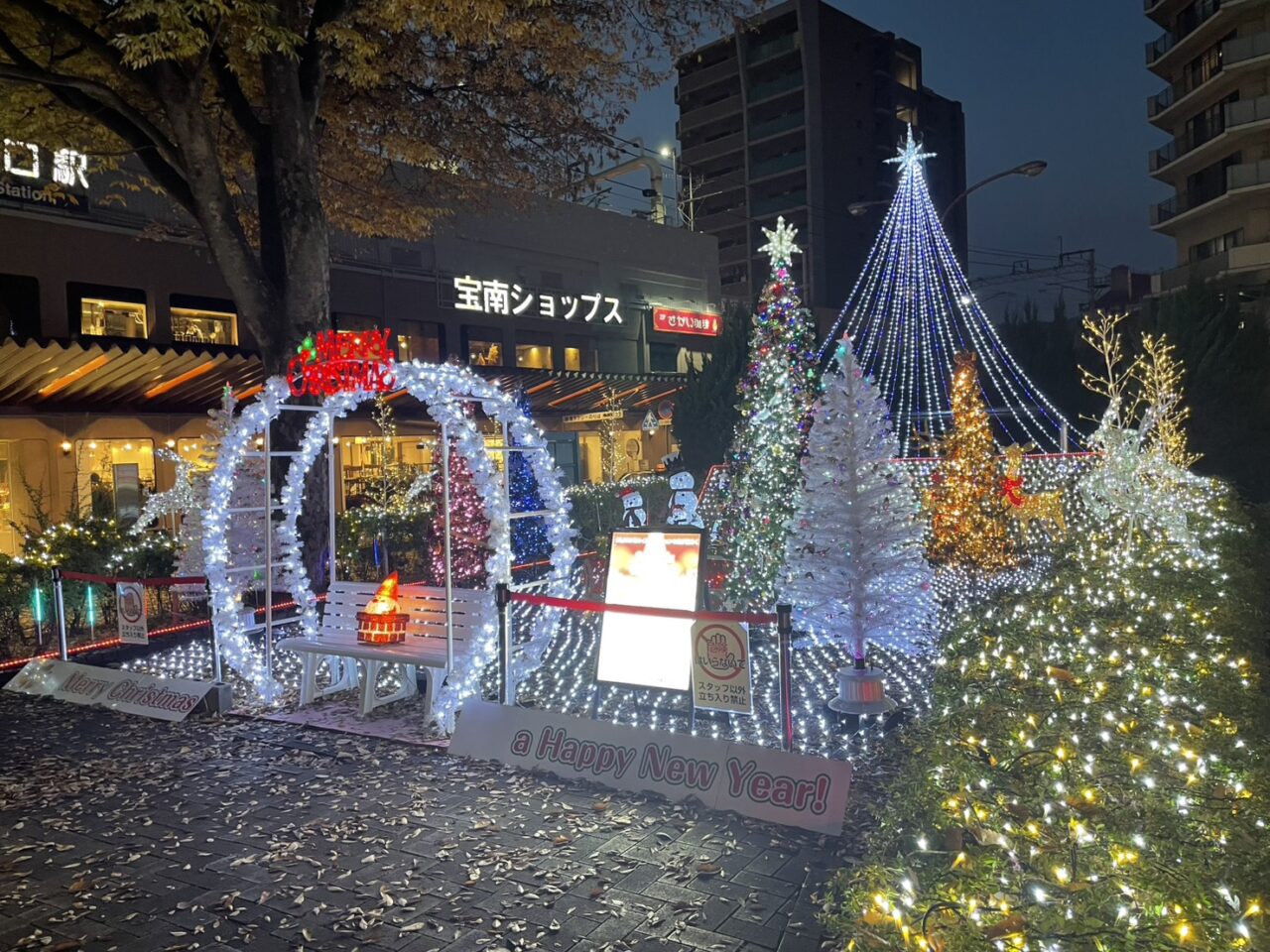 イルミネーション