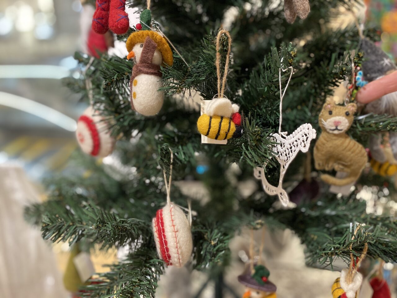 パシフィックブラーノ