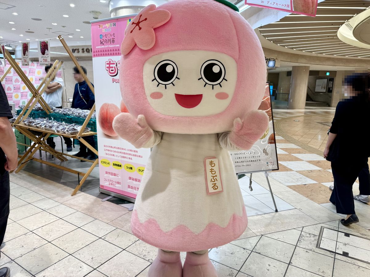 きのかわ桃マルシェ当日