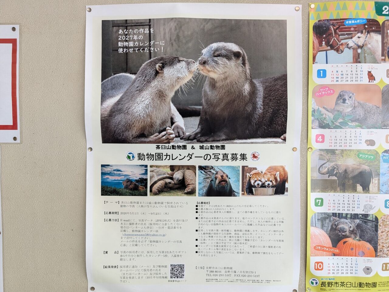 ２０２６年６月茶臼山城山動物園カレンダー写真募集１