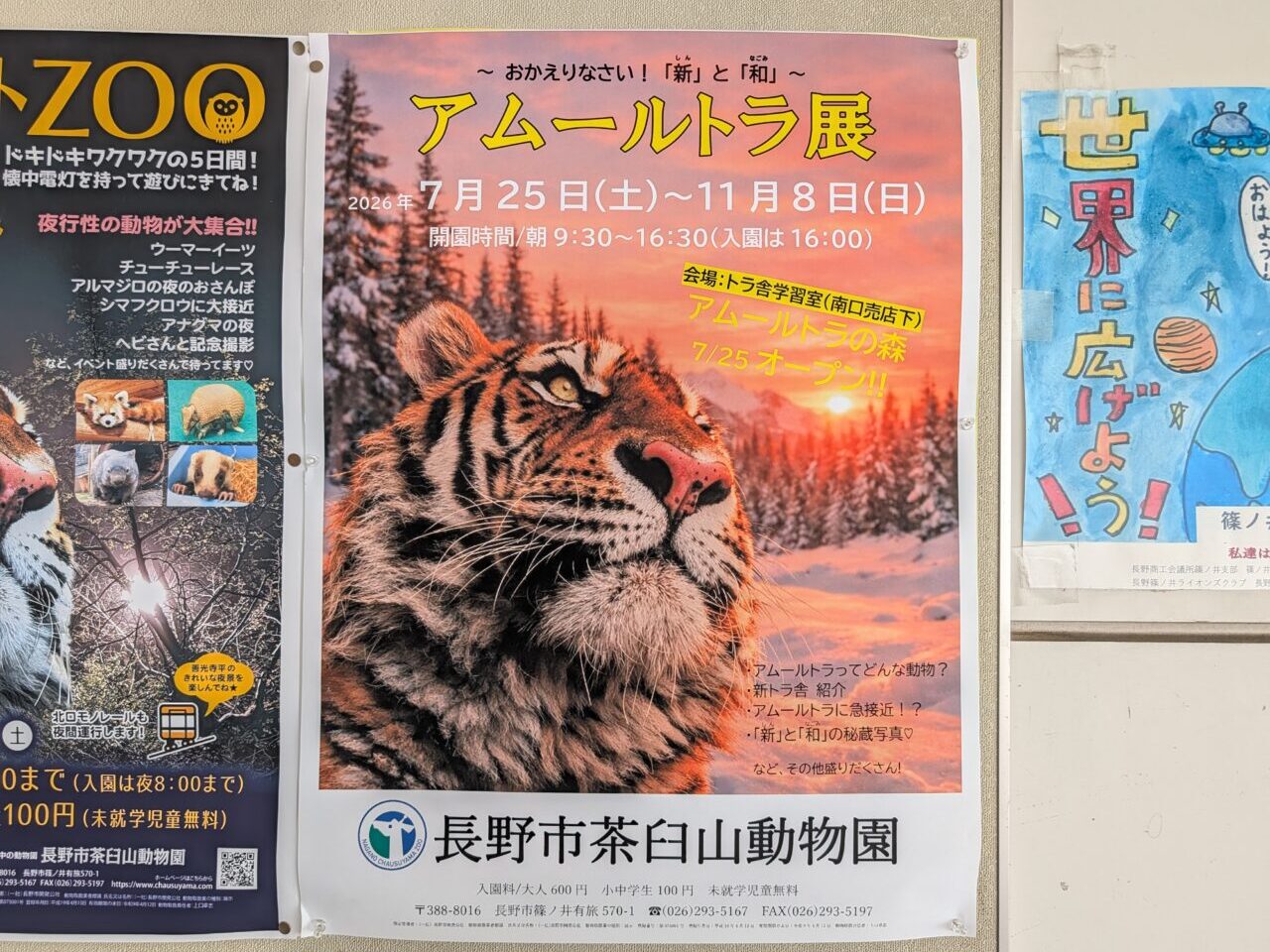 ２０２６年７月茶臼山動物園アムールトラの森オープン２