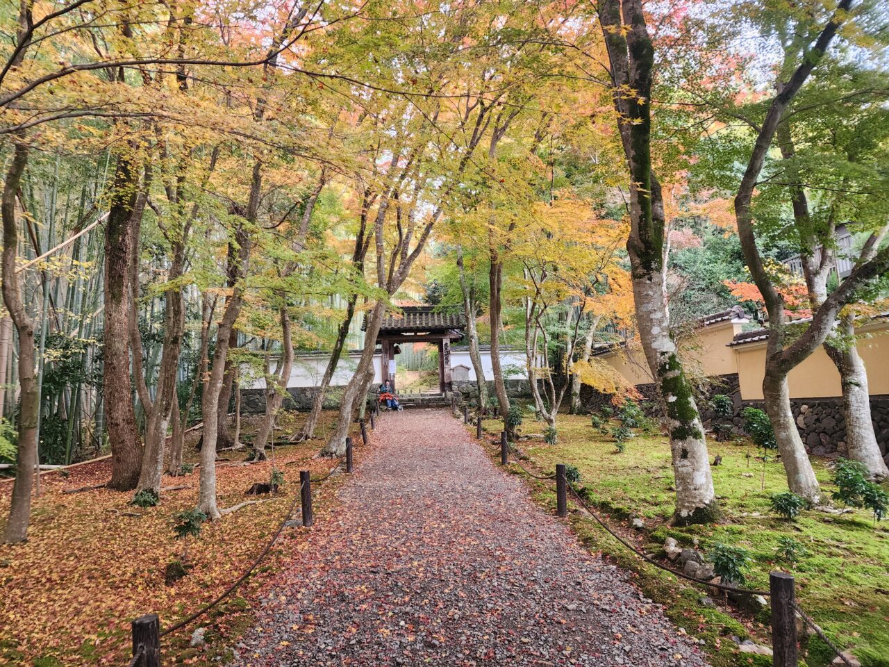 竹の寺地蔵院