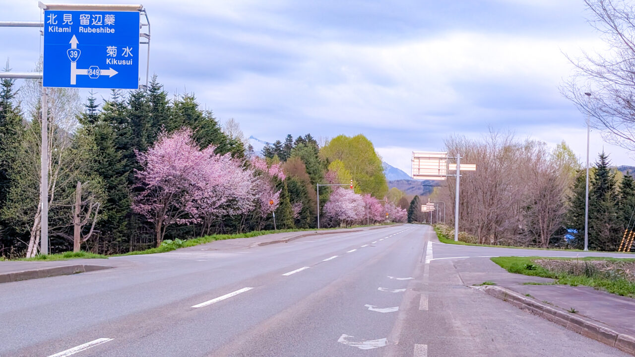 国道39号線、上川町